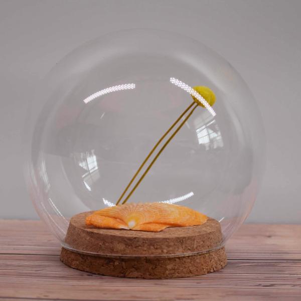 1 polegada afilou a abóbada natural DIY Toxicless inodoro de Cork Lids Plug Glass Round