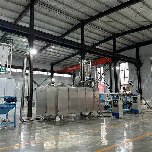 120kg/ H 22KW Dry Pet Food Production Line Dog Treat Extruder 3mm