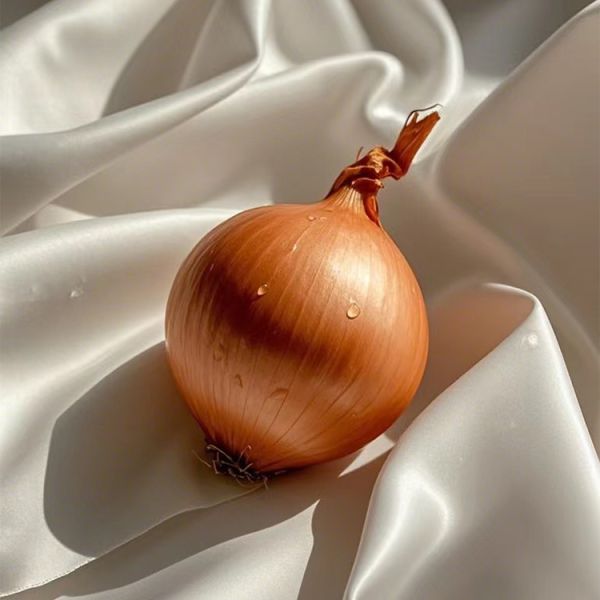 China Supplier 5-8 cm Size Round Export Fresh Vegetable Yellow White Onion for Sale