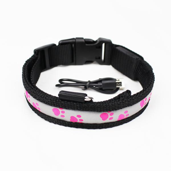 C903 Safety Nylon Webbing USB Rechargeable LED Pet Collar Leash Led Dog Collars in darkness