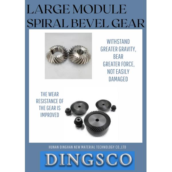 Gran módulo en espiral Bevel Gear de alta calidad Forjando Gran Rueda de la Corona Pinion Fabricante profesional