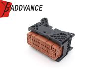 OEM de noir et de Brown Accepte de connecteur de 120 Pin Female Sealed Waterproof Automotive