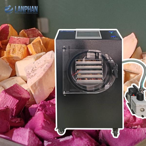 Automatic Small Home Freeze Dryer Machine for Fruit Food Meat Vegetable with Vacuum Pump