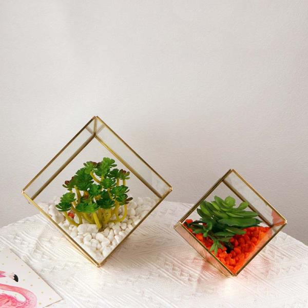 Micro landscape glass artifact cover display box house succulent plant eternal flower box kids gift wholesale