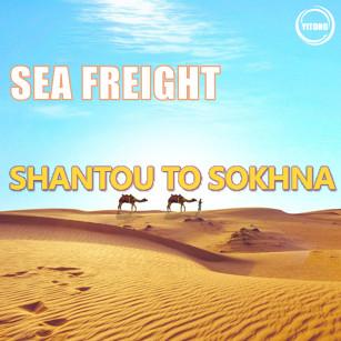 Ocean Sea Freight From China To Egypt Sokhna International Freight Forwarder