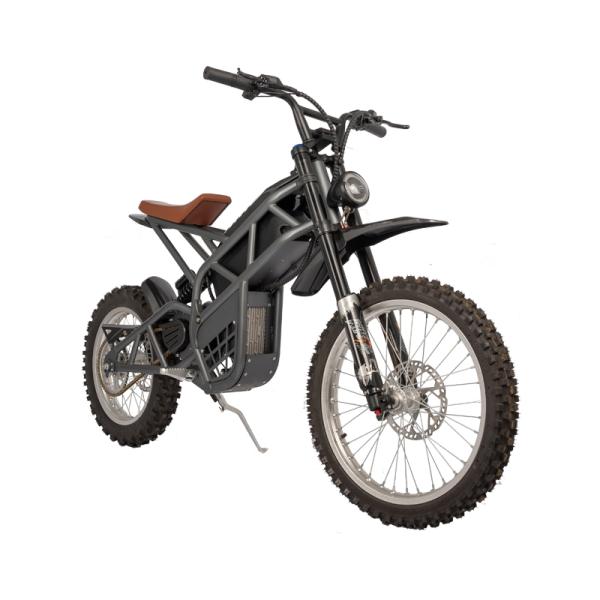 Steel Frame Fat Tire Bicycle Electric Dirt Bike for Men Rear Hub Motor Braking System