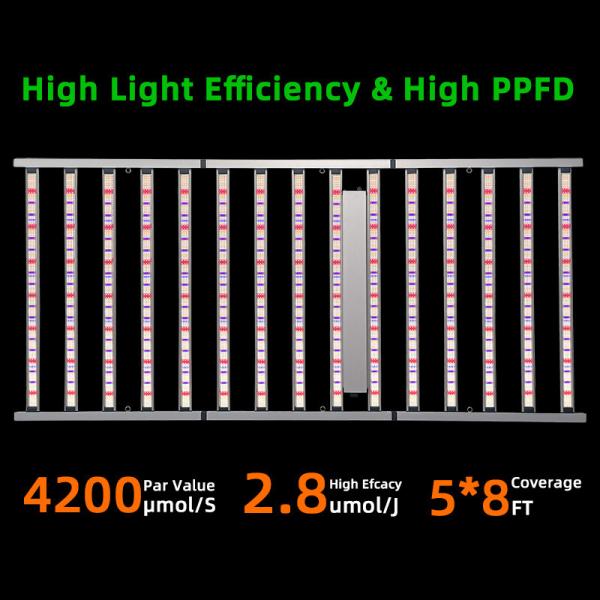 Aluminum UV IR LED Grow Light 1600W 2 Channel 2400*1100mm Size 1600 Watt LED Grow Light