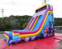 La diapositiva inflable comercial impermeable/Nemo inflable seca la diapositiva
