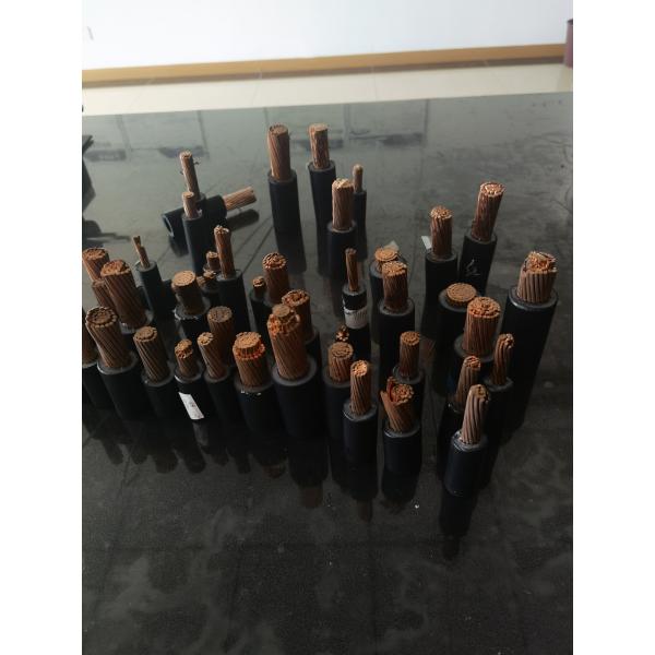 ANHUI JIARUO IMPORT AND EXPORT CO.,LTD