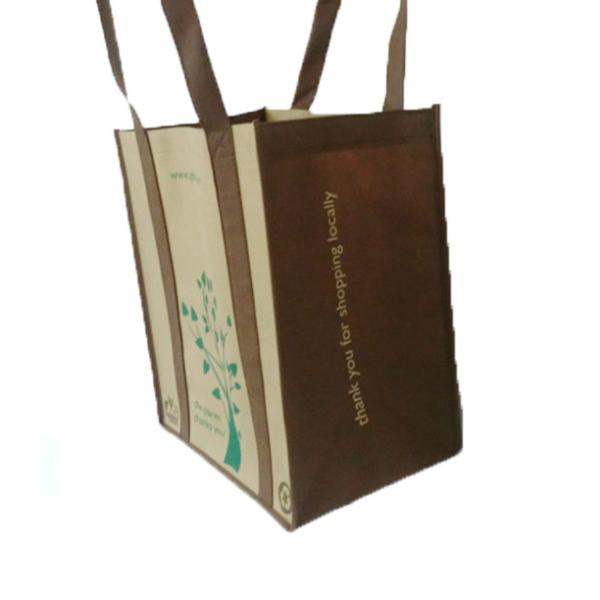 Cheap and high qualityNon woven Shopping Bag