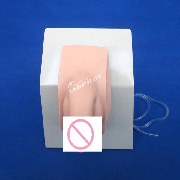Realistic Human Manikin Economic Male Catheterization Teaching Simulator Nursing Training Model