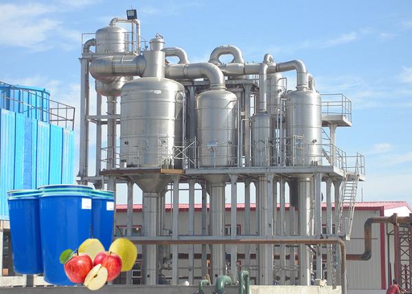 50 T/D Automatic Apple Processing Production Line SUS404 One Stop Service