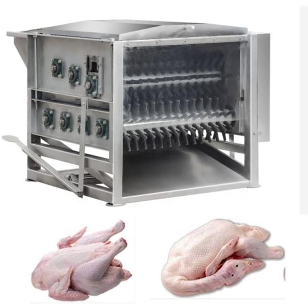 Plucking Feahter Poultry Slaughterhouse Equipment CE Chicken Defeathering Machine