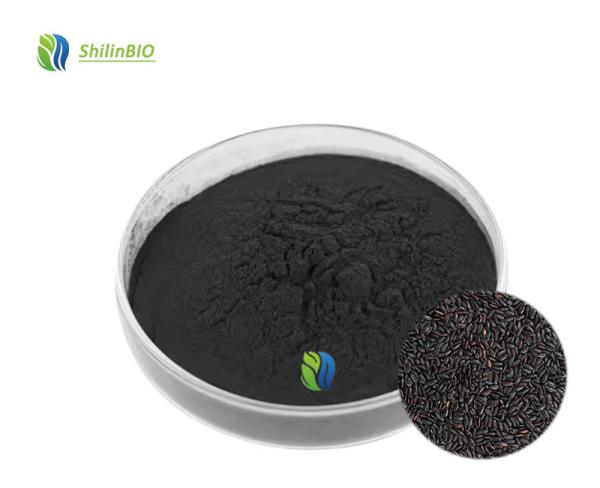 Black Rice Extract Powder 25% Anthocyandins