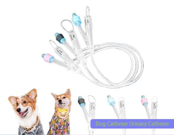 Animals Medical Hydrophilic veterinary Silicone Coating Super-lubricity 2 Way Pure Silicon Foley catheter Urinary surgery for dogs