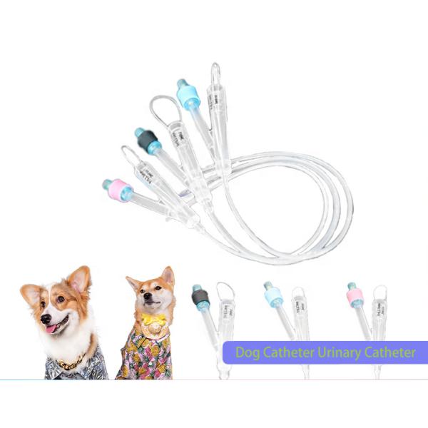 Cathéter IV médical pour animaux de compagnie / Cathéter IV / Tube IV pour animaux Chiens Chats Perfusion IV Soins permanents