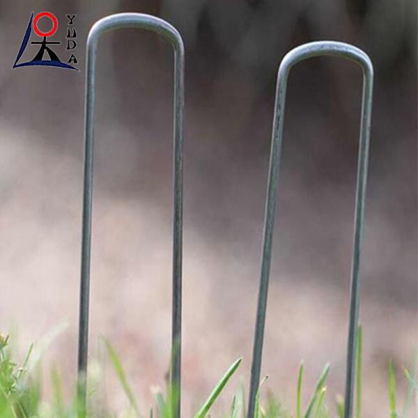 Free Sample Galvanized Artifical Grass Nails Ground Nails Type Of Soil