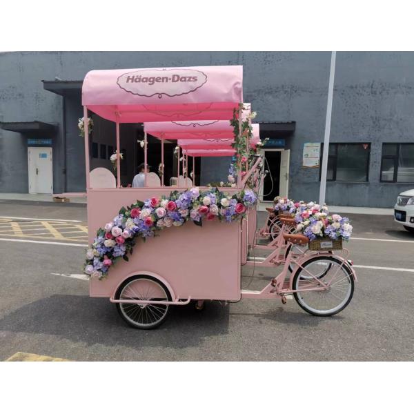 Three Wheels Mobile Vending Cart for Coffee Retail Hot Dog Truck Tricycles Ice Cream