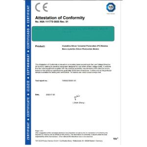 Chongqing Martha Marceau International Trade Co., Ltd. Certifications