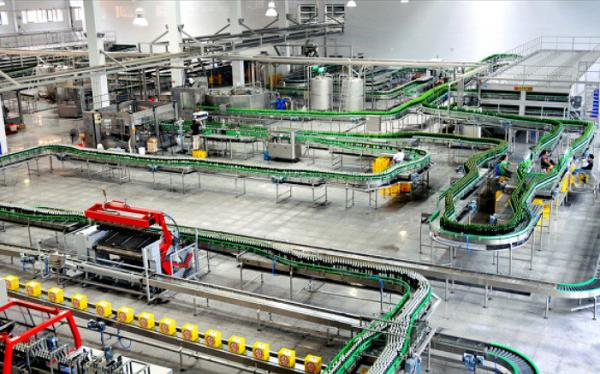 Glass Bottle Beer Production Line Packing Conveying Process 12 Months Warranty