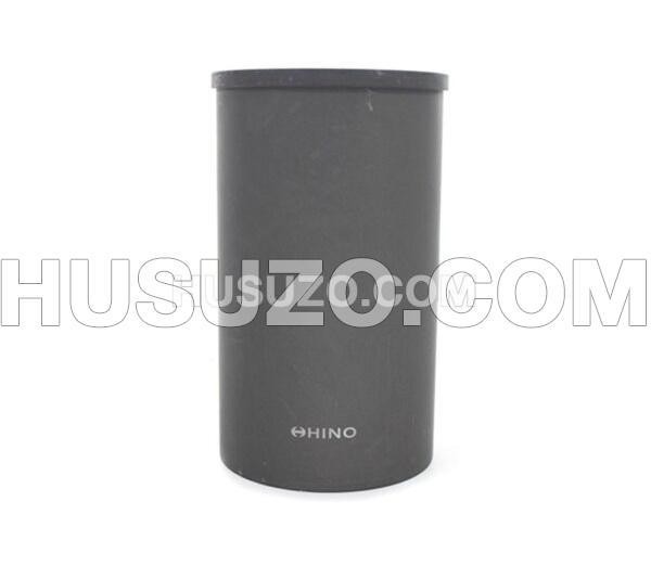 Accès pour camions Hino J08E personnalisé