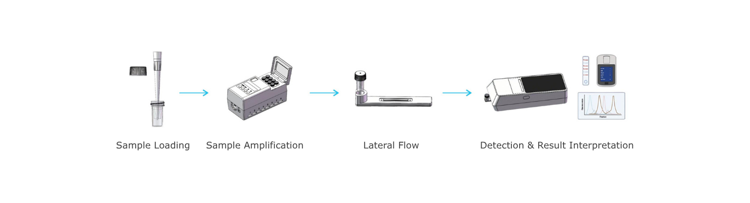 FRMT® Multiplex Molecular Diagnostics