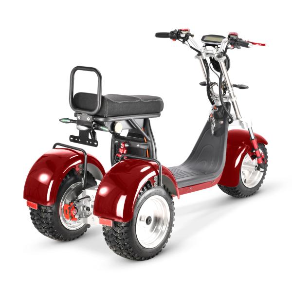 60V Electric Motocross Dirtbike Electric Tricycle with 2000W Power and Lithium Battery