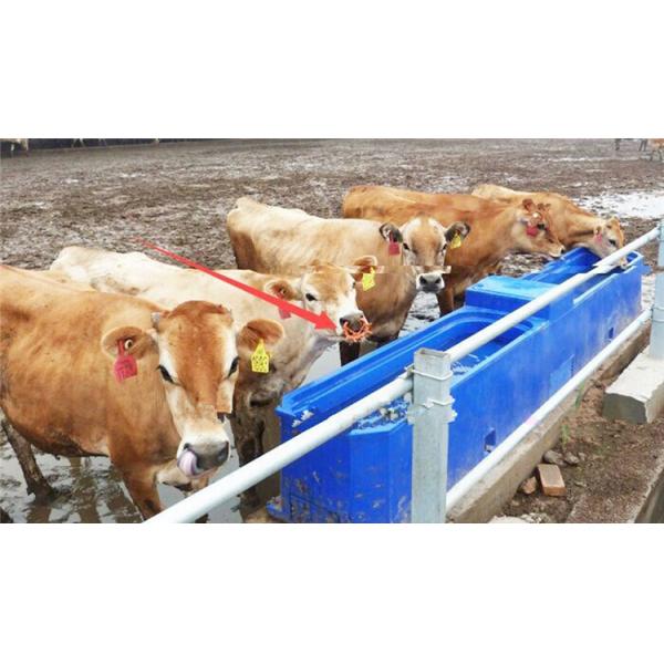 Red Plastic Calf Weaner Nose Ring Milk Sucking Preventer