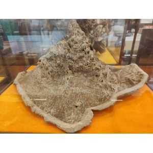 Woody Fragrance Family Agarwood Carving Collection For Birthdays