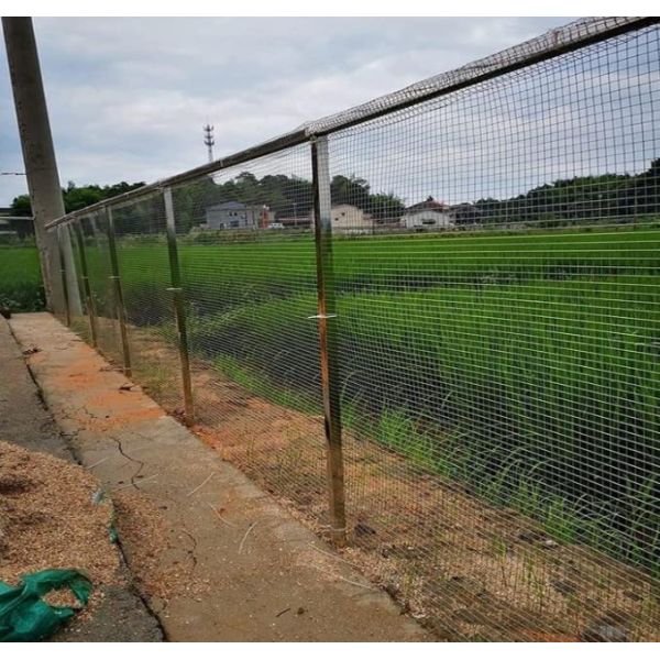 Metal Woven roll Fine 80 Micron 1.5mm 3mm hole size  Filter Sieve Screen Fabric Panel Sheet 304 316l Stainless Steel Wire Mesh