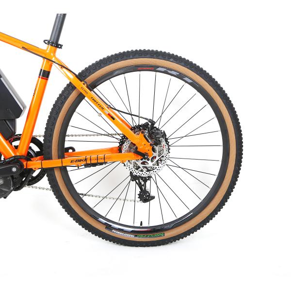 Single Speed Alloy Frame Mountain Bike 48V Lithium Battery Electric 750W Mid Motor