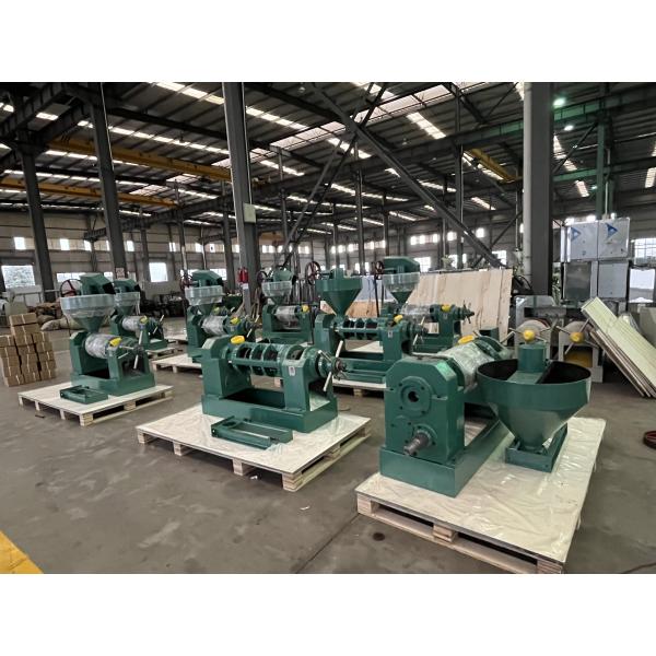 Coconut Automatic Screw Oil Press Machine High Quality Peanut Oil Extrator Cold Press