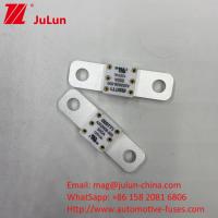 100A 150A 200A 125VDC fusible de batería en el mercado de automóviles