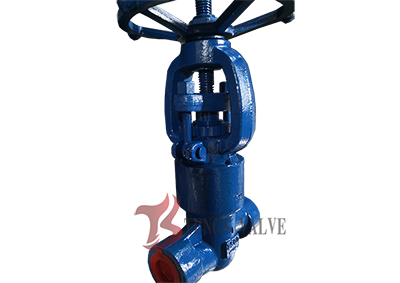 A182-F22 High Pressure 2500LB PSB Forged Steel Globe Valve, SW, DN25