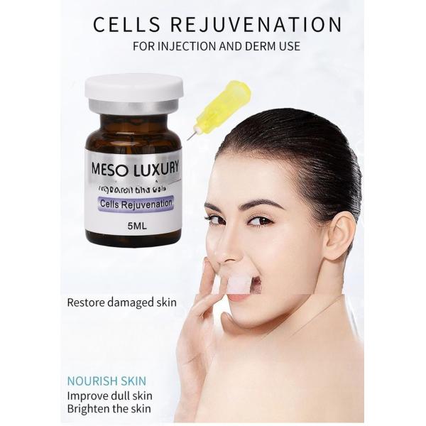 OEM Cosmetic Skin Rejuvenation Repairing Face Skin Booster Hyaluronic Acid Anti Aging Serum Injection 5ml