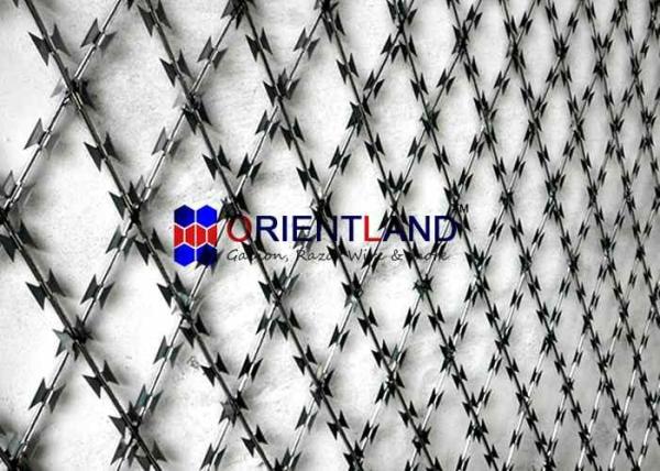 Security Razor Wire Stainless Steel Anti Climb Barrier Razor Ribbon Concertina Coil Wire