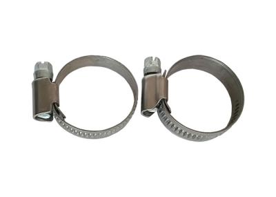 Faixa de aço inoxidável & braçadeira de mangueira chapeada zinco do parafuso com tipo de Alemanha da largura de banda da soldadura 9mm, W2