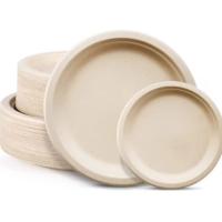 9 pulgadas plato de pulpa redondo de caña de azúcar biodegradable plato de comida desechable