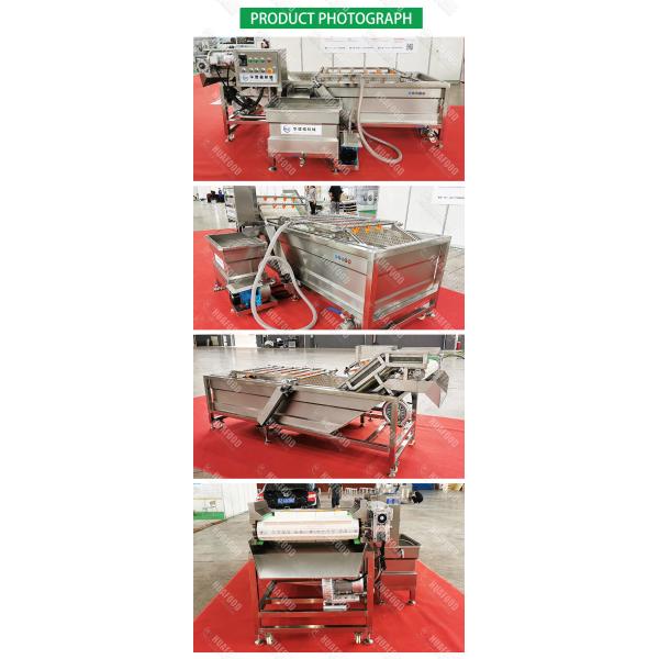 Стиральная машина плода овоща озона 500kg/H воздушного пузыря