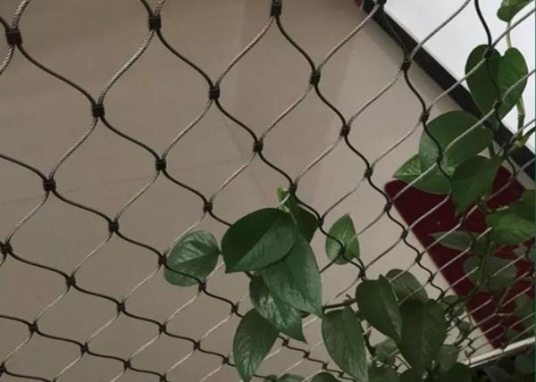 Green Decoration Wall 100x100mm Flexible Stainless Steel Cable Mesh