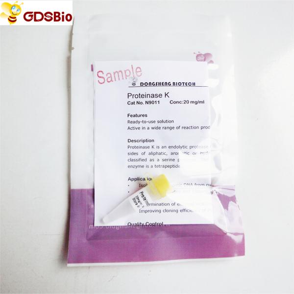 A protease K da categoria da biologia molecular pulveriza N9017 1g