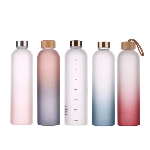 Botellas de agua de vidrio a prueba de fugas de 18 oz.