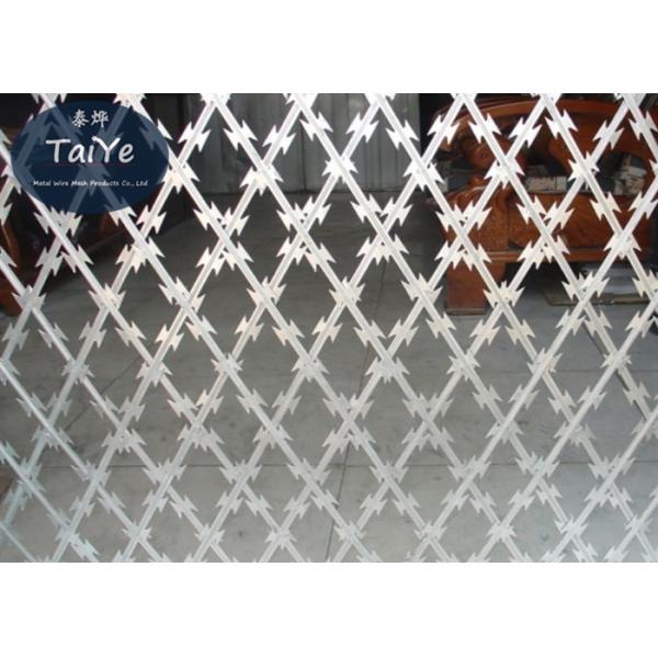 Multi Functional Razor Barbed Wire Mesh High Security Galvanized Coated