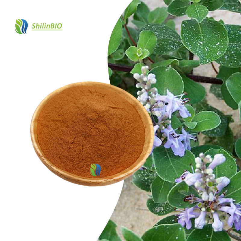 Food Grade 10:1 20:1 Vitex Trifolia Extract Powder Water Soluble