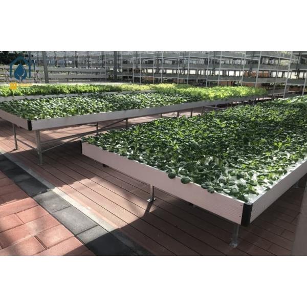 Outdoor / Indoor Ebb And Flow Rolling Benches Galvanized Greenhouse Growing Tray