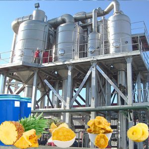 Auto Pineapple Jam Processing Line | High Consistency Jam Cooking & Packaging System