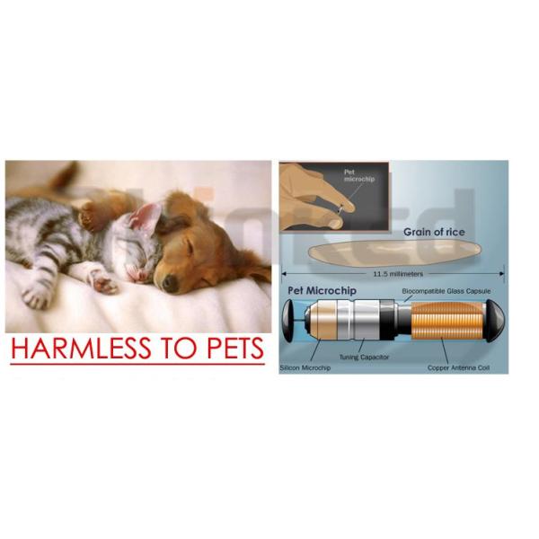 Шприца приемоответчика бирки Rfid идентификации домашнего животного обломоки стеклянного вводимые