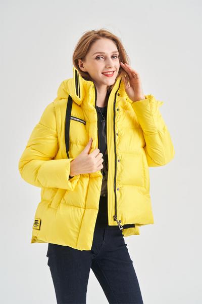 FODARLLOY Warm hooded cotton-padded clothes women slim Regular down winter jackets women coats