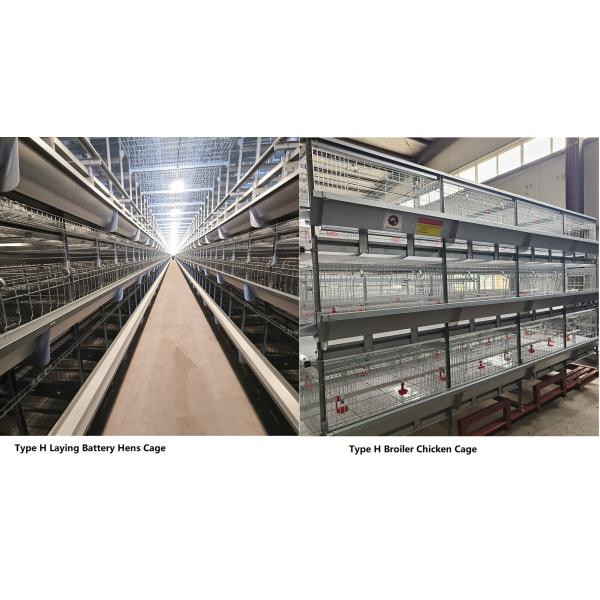 Птицы батареи 192 наслаивают клетку курицы, оборудование птицы бройлера SGS W1200mm