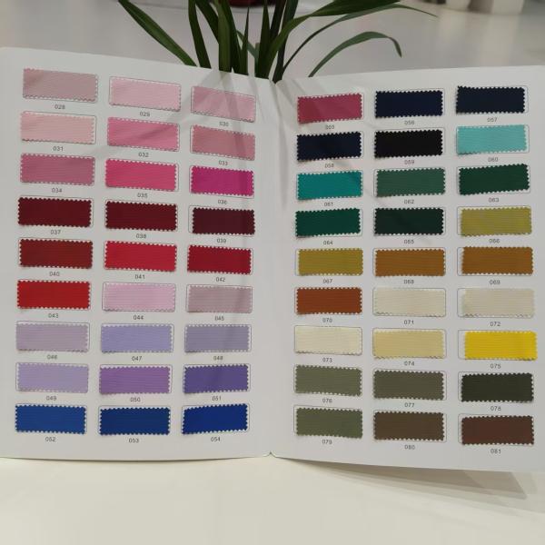 Lightweight Water Repellent Fabric 100% Polyester Waterproof Outdoor Fabrics 160CM Width
